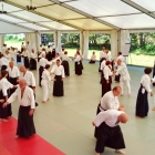 ljetni-aikido-seminar-2016