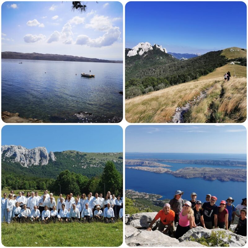 aikido-summer-camp