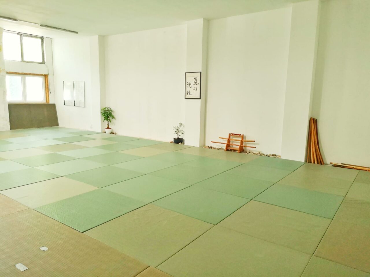 dojo66